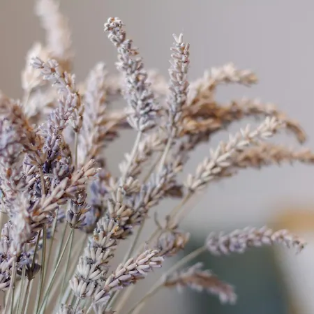 Comfort Hub - - 3 Gaestezimmer Im Eigentumshaus Kolín nad Rýnem