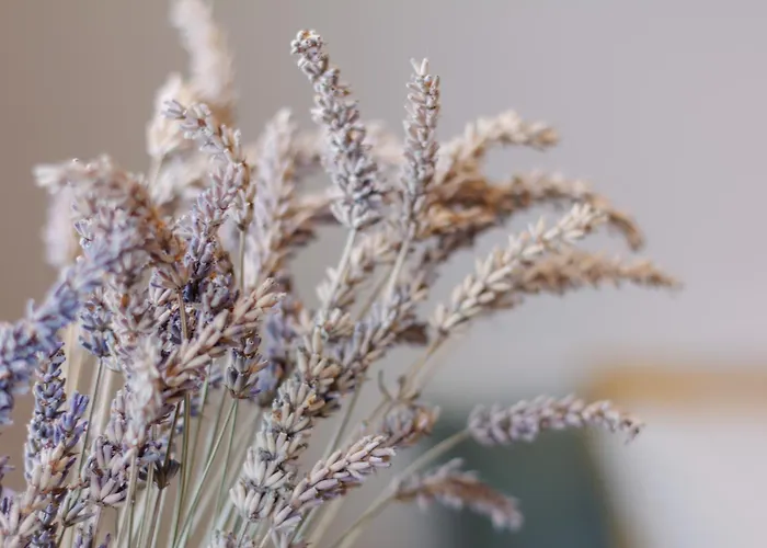 Comfort Hub - - 2 Gaestezimmer Im Eigentumshaus 쾰른